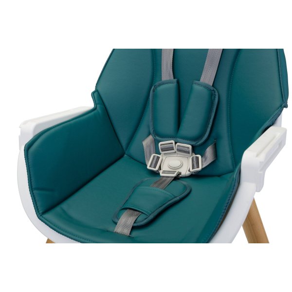 3in1 maitinimo kėdutė Caretero Tuva, Dark green