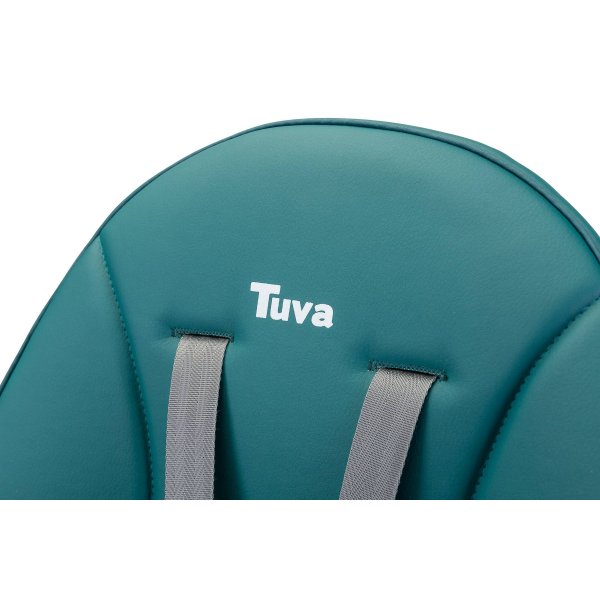 3in1 maitinimo kėdutė Caretero Tuva, Dark green