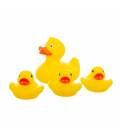 Akuku vonios žaislų rinkinys DUCKS 4 vnt., A0162