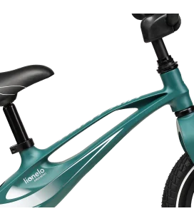 Balansinis dviratukas pripučiamais ratais Lionelo Bart Air, Green