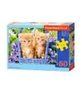 CASTORLAND DĖLIONĖ GINGER KITTENS 60 DET. 5m+