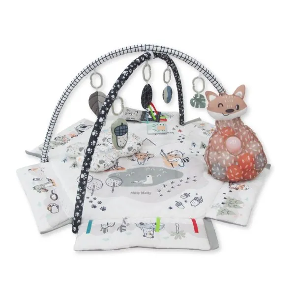 Milly Mally lavinamasis kilimėlis 5in1, Minky