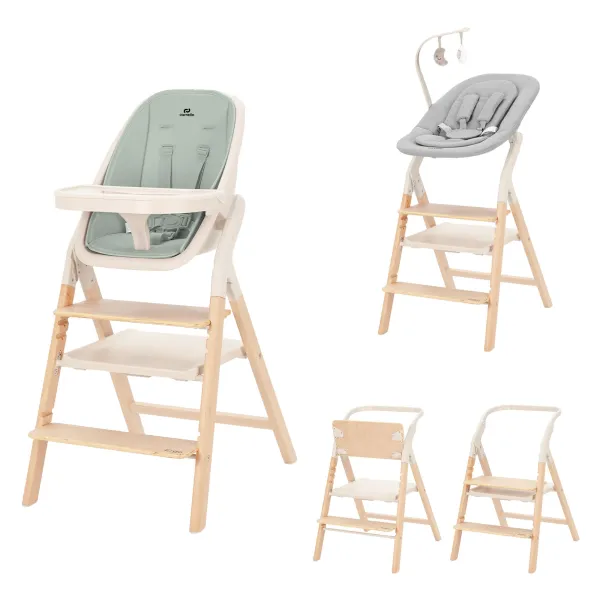 4in1 maintimo kėdutė ir gultukas Carrello Ergo, Elora green