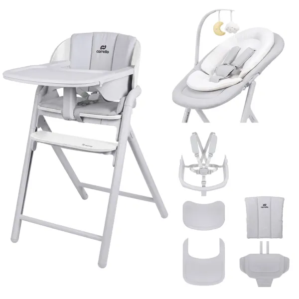 3in1 maintimo kėdutė ir gultukas Carrello Tenero, Atlantis grey