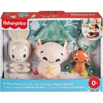 Fisher-Price sensorinis dovanų rinkinys Pasaulis pojūčių, 4 vnt.