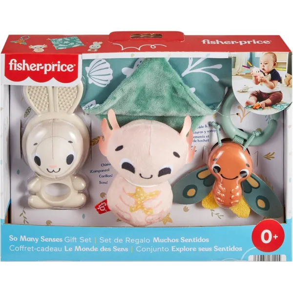 Fisher-Price sensorinis dovanų rinkinys Pasaulis pojūčių, 4 vnt.
