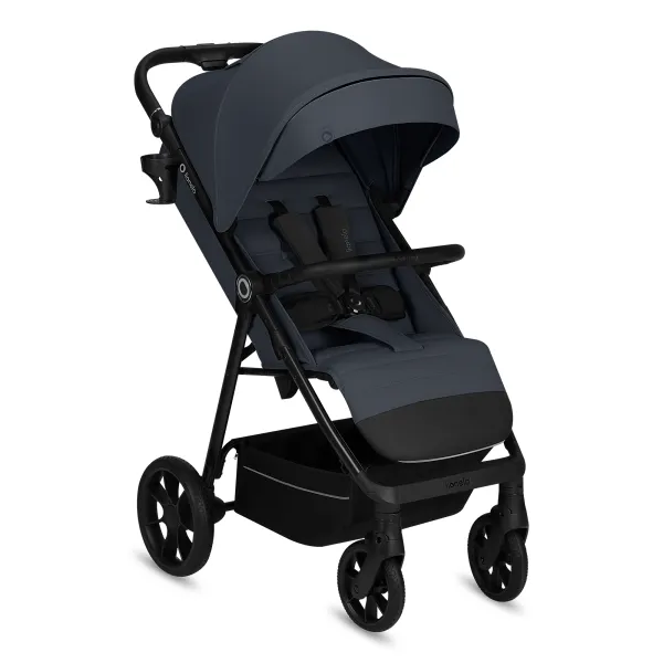 Sportinis vežimėlis Lionelo Iva, Grey graphite